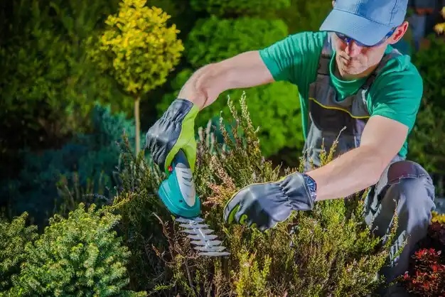 landscaping services Cedar Creek